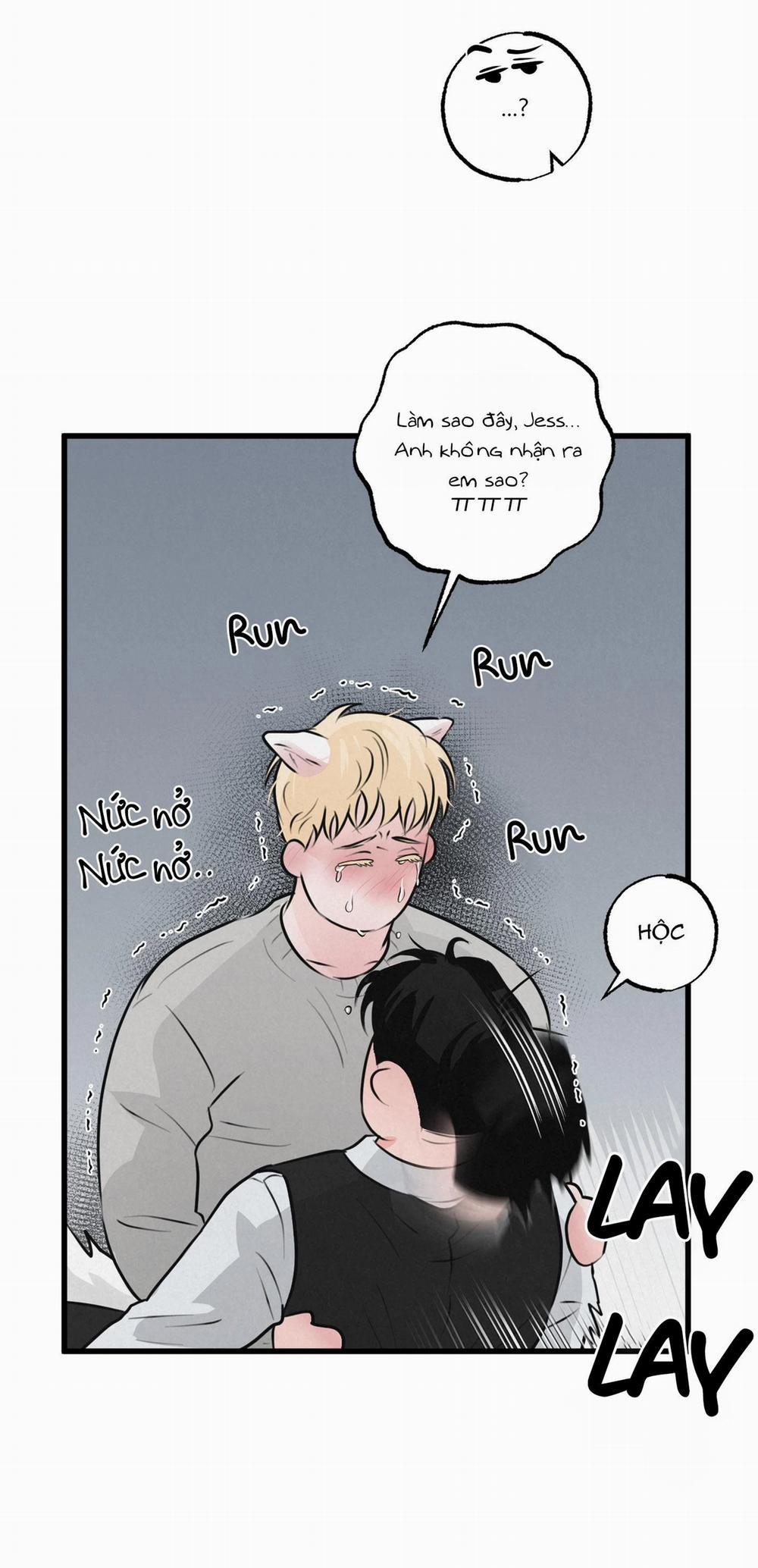 Cặp Đôi Hoàn Hảo 15 trang 5