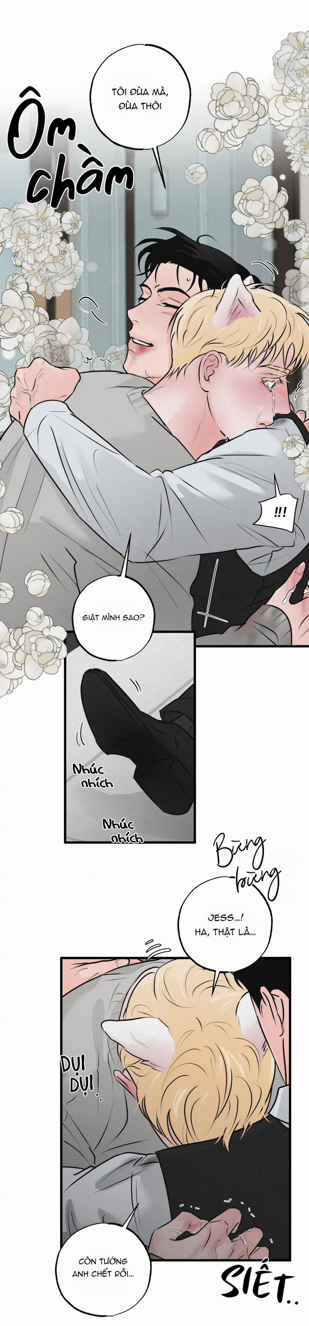 Cặp Đôi Hoàn Hảo 15 trang 6