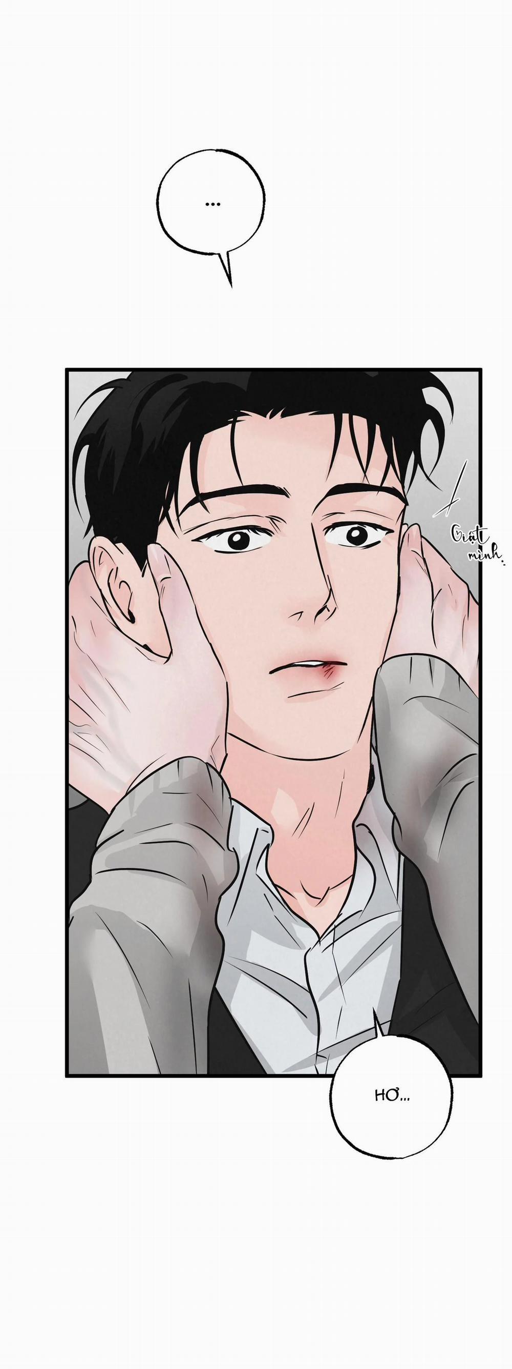 Cặp Đôi Hoàn Hảo 16 trang 12