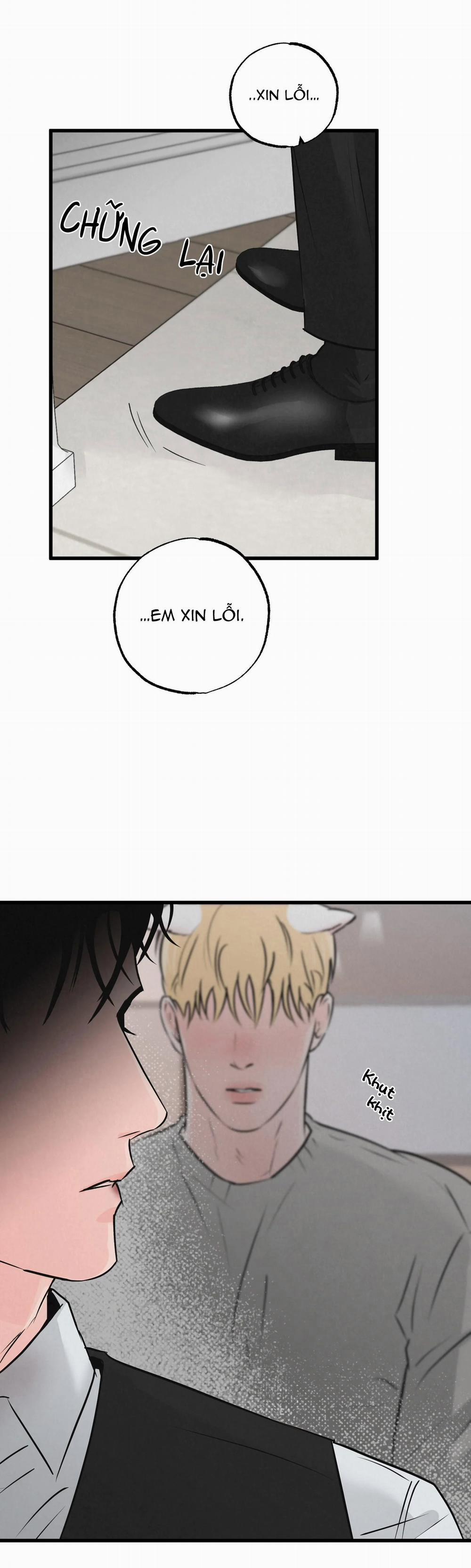 Cặp Đôi Hoàn Hảo 16 trang 17