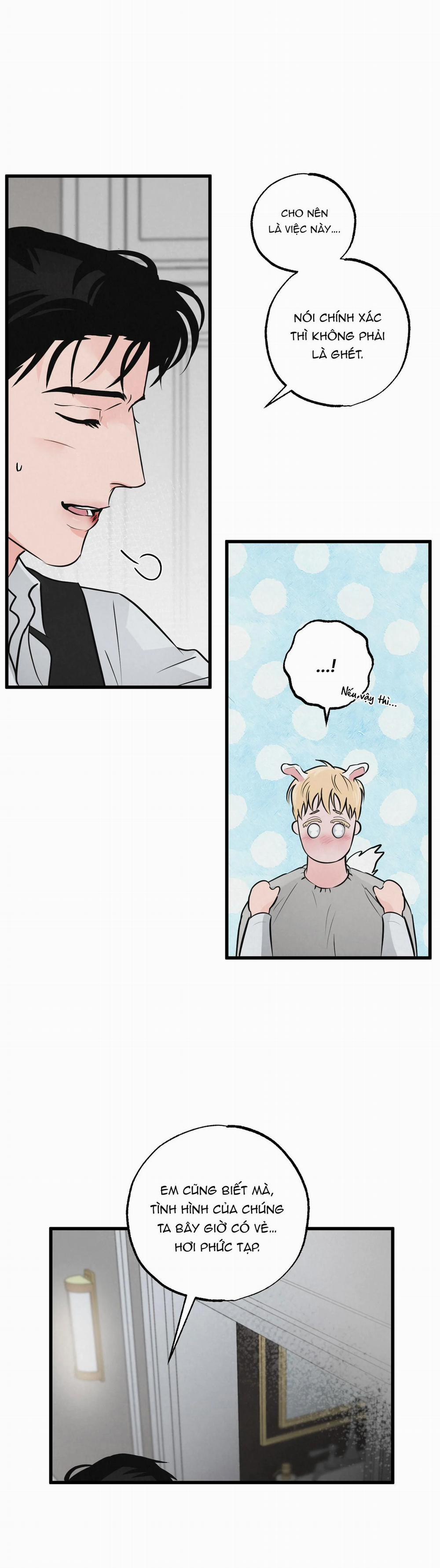 Cặp Đôi Hoàn Hảo 16 trang 21