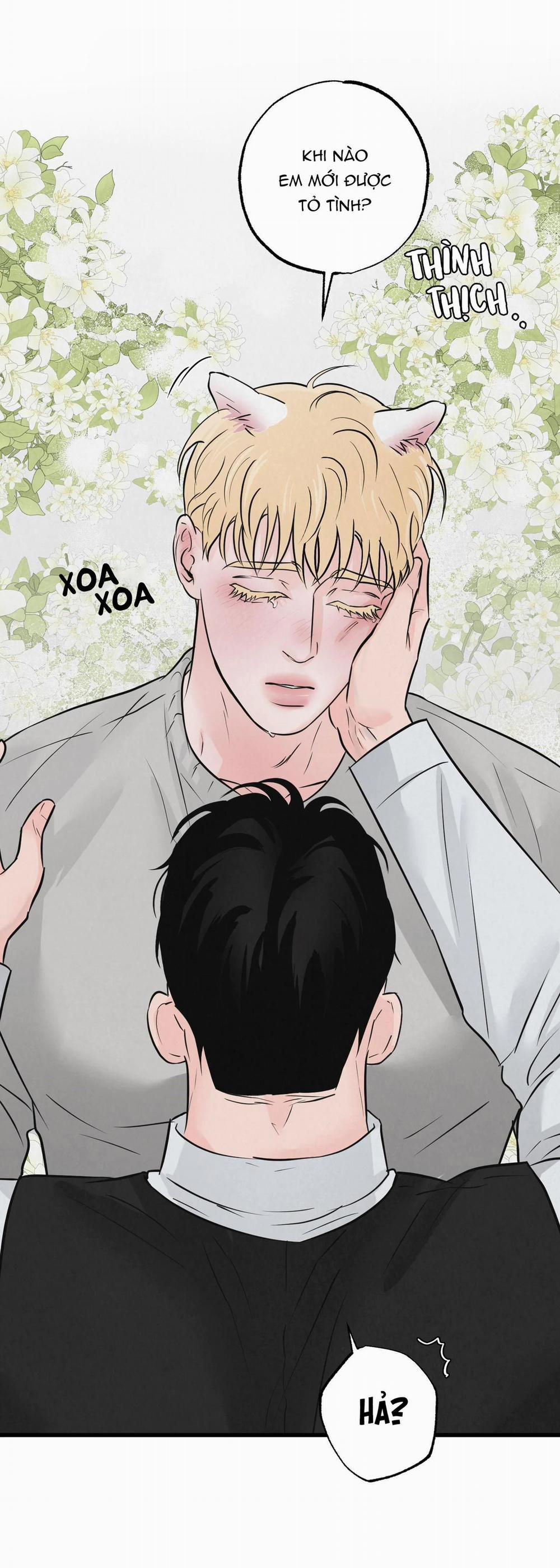 Cặp Đôi Hoàn Hảo 16 trang 27