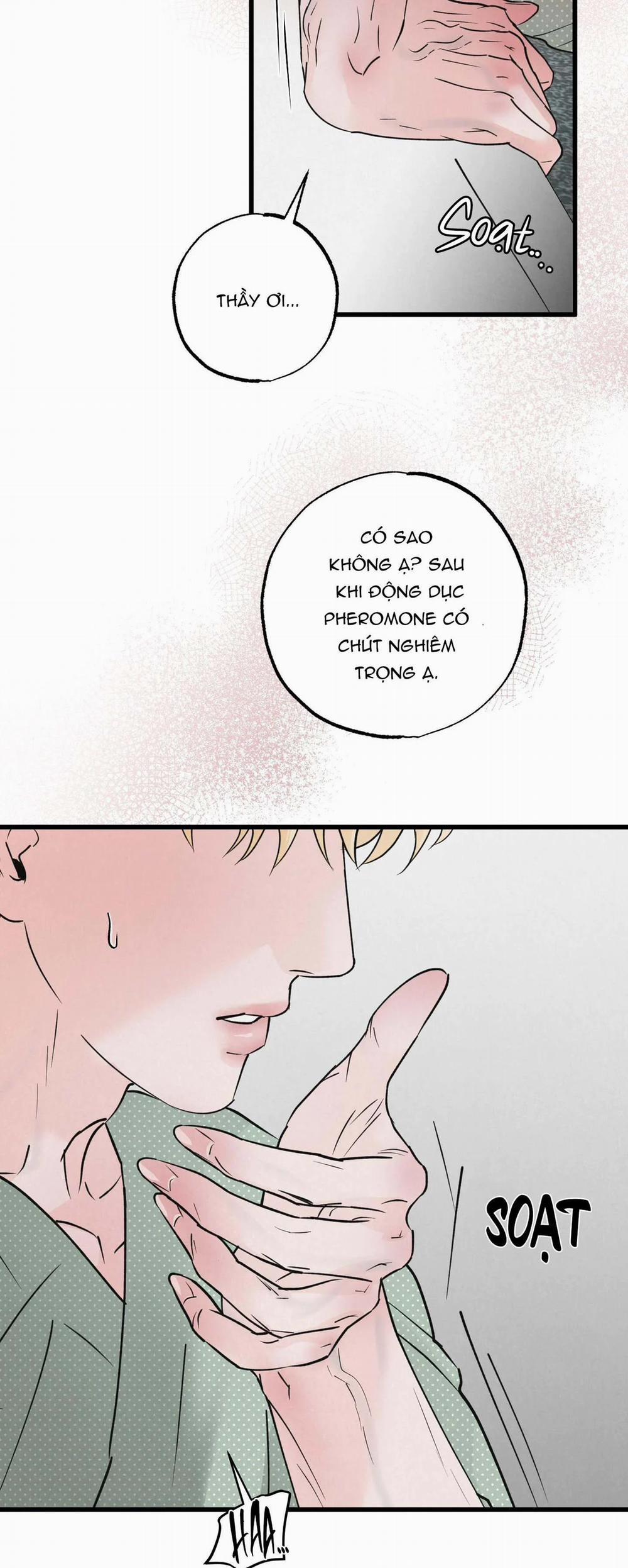 Cặp Đôi Hoàn Hảo 17 trang 43