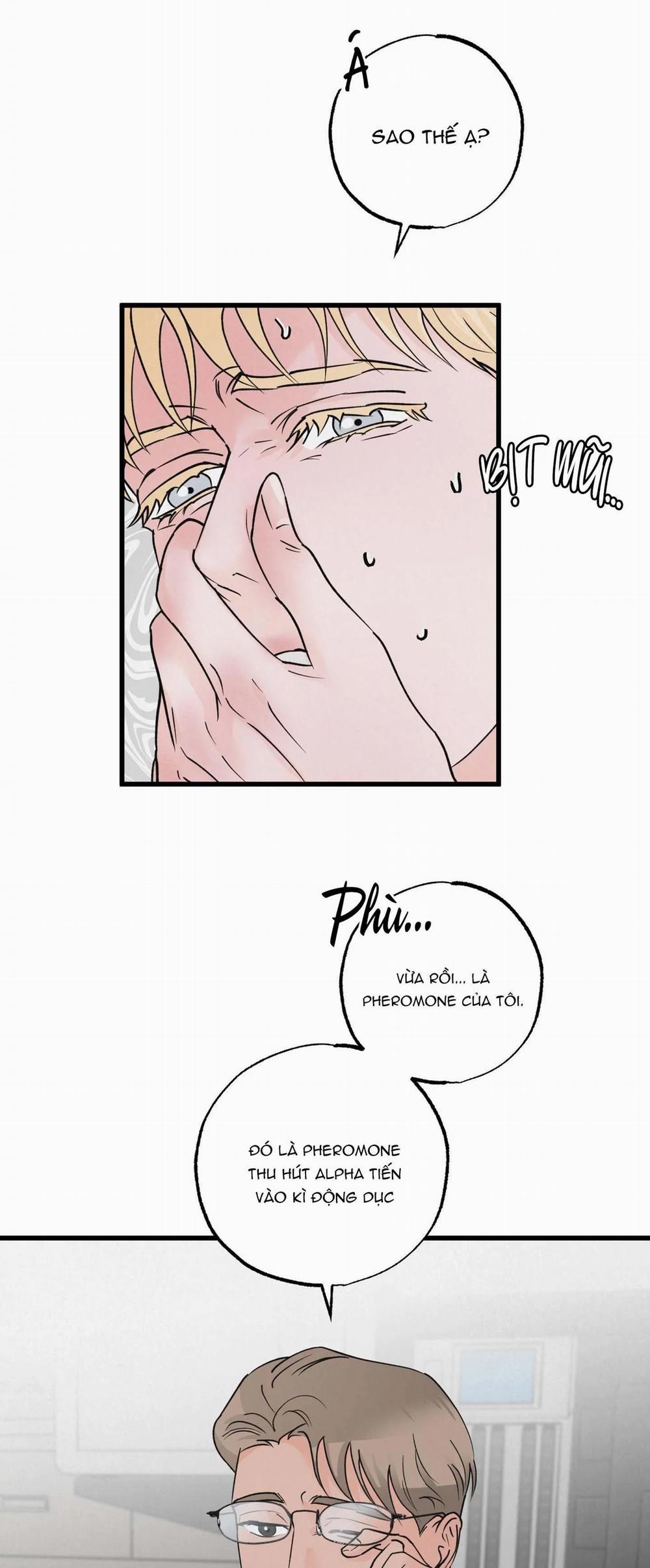 Cặp Đôi Hoàn Hảo 17 trang 45