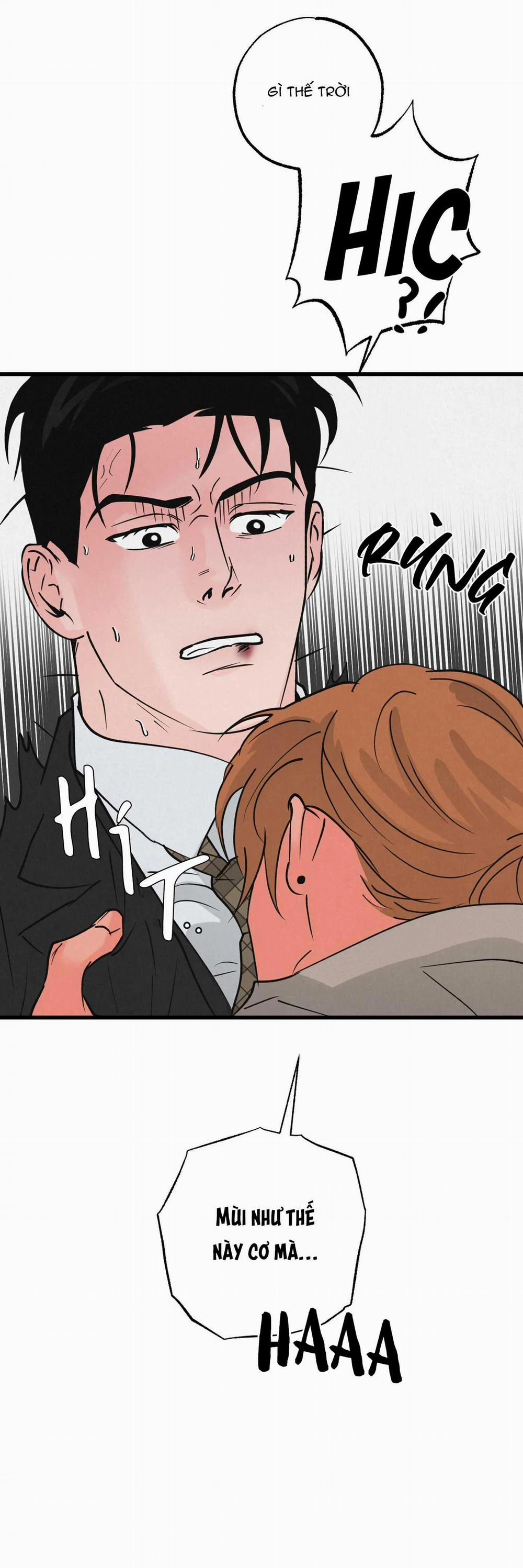 Cặp Đôi Hoàn Hảo 19 trang 14