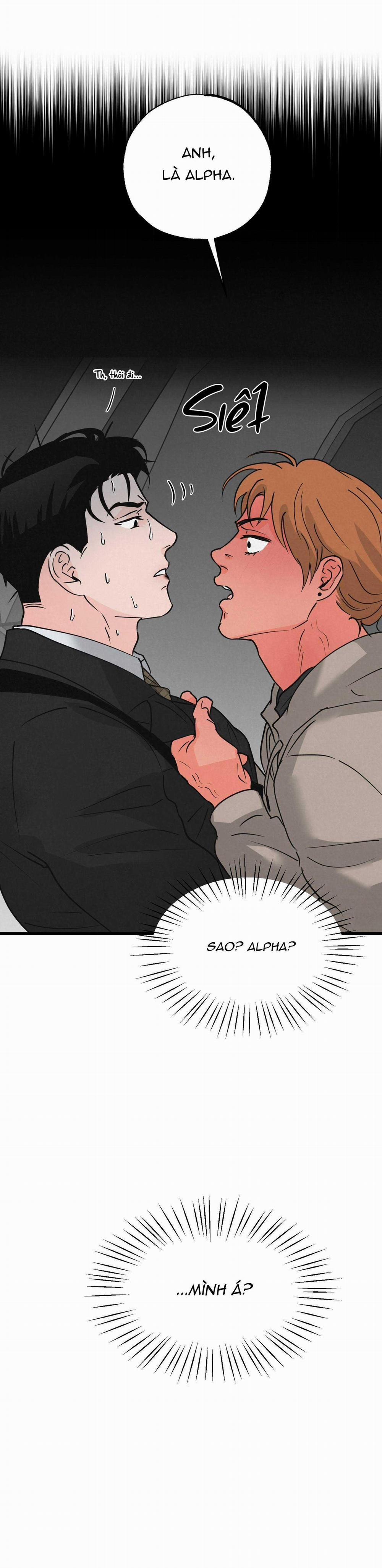 Cặp Đôi Hoàn Hảo 19 trang 15