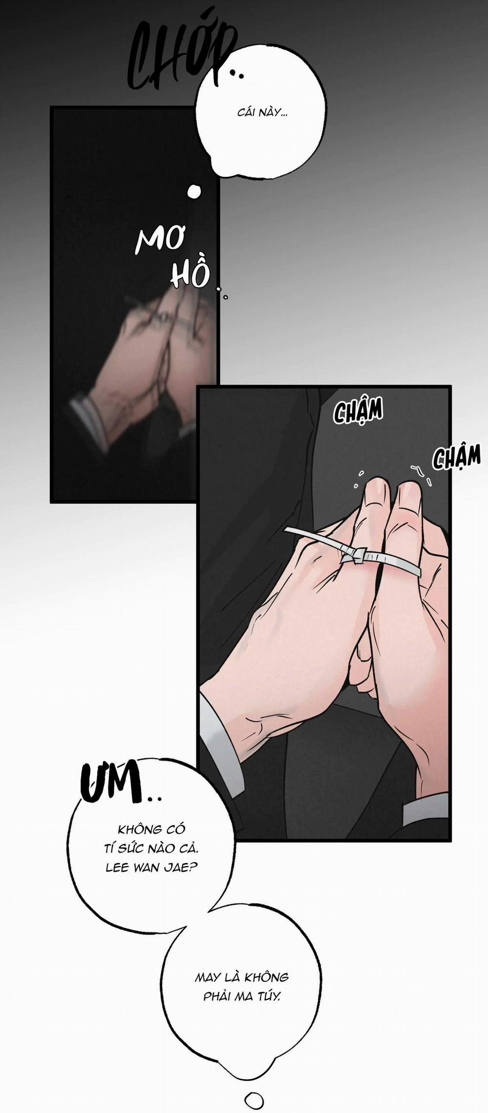 Cặp Đôi Hoàn Hảo 19 trang 3