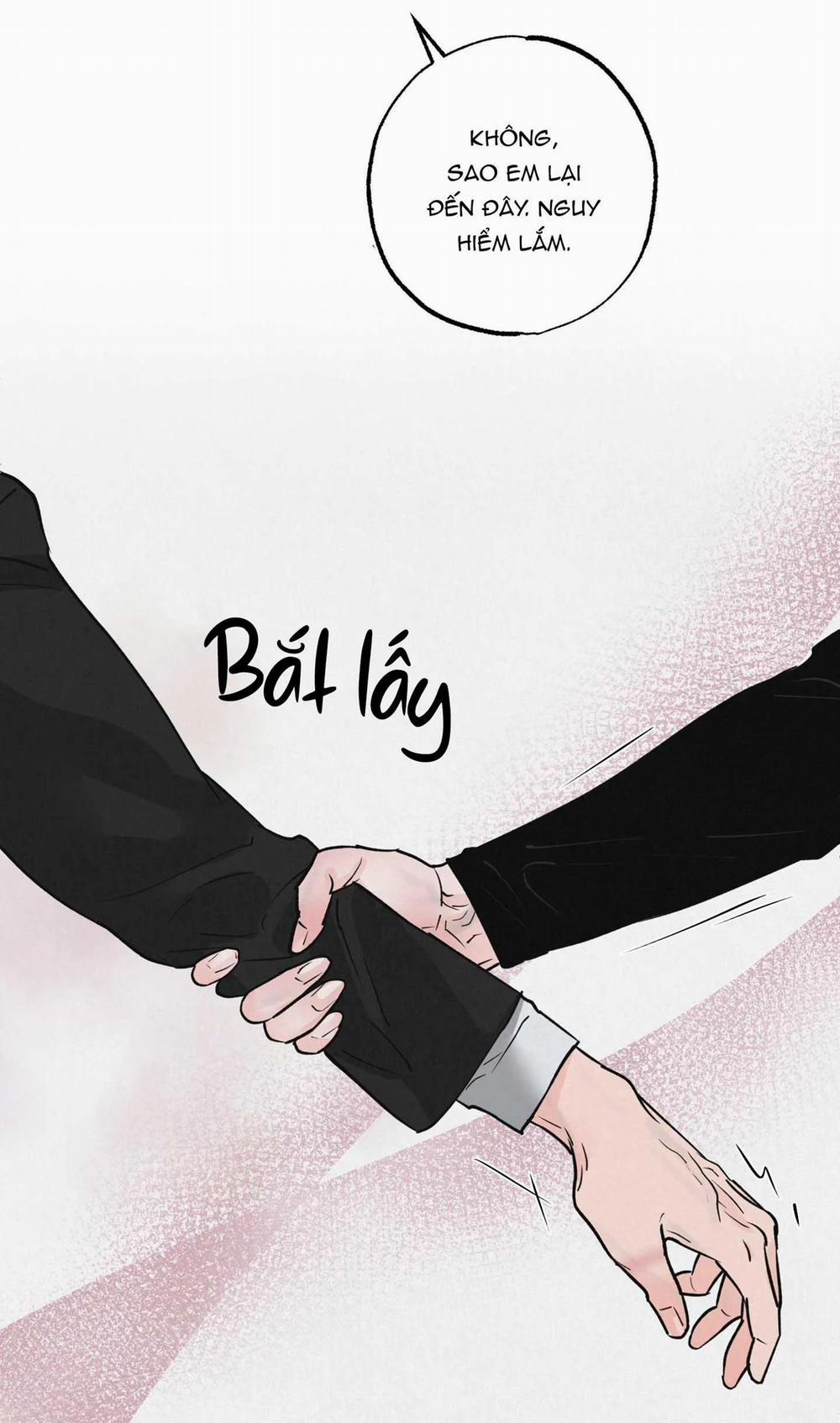 Cặp Đôi Hoàn Hảo 19 trang 49