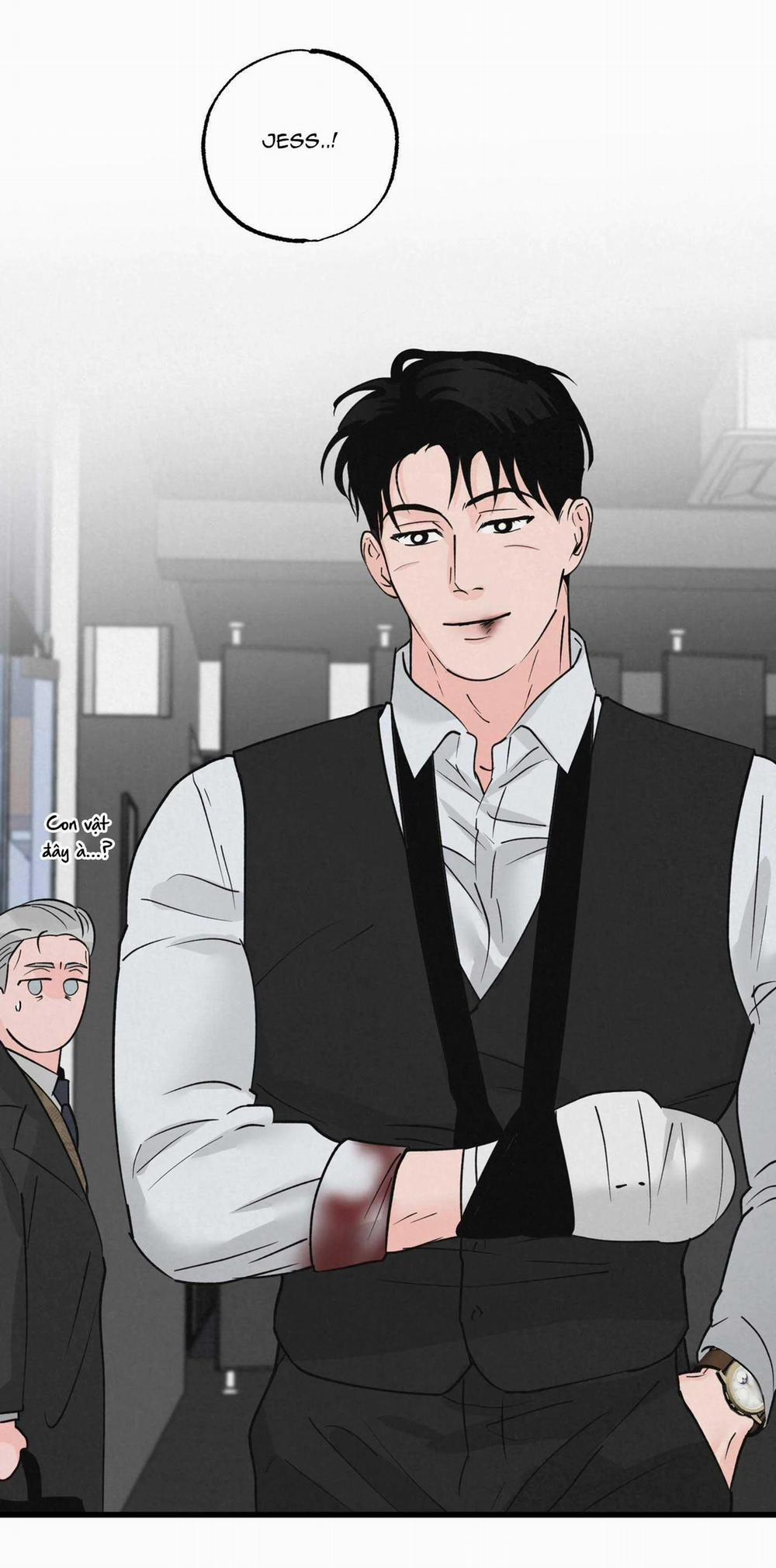 Cặp Đôi Hoàn Hảo 20 trang 51