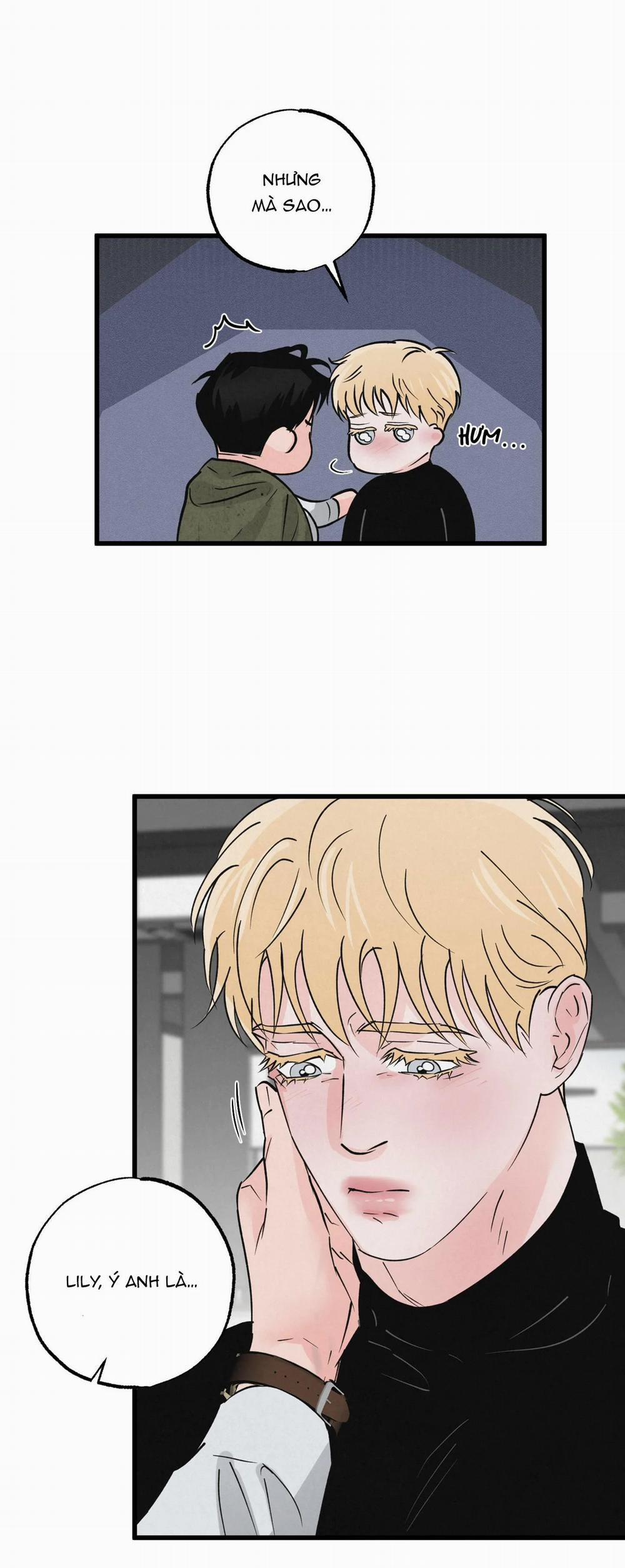 Cặp Đôi Hoàn Hảo 21 trang 5