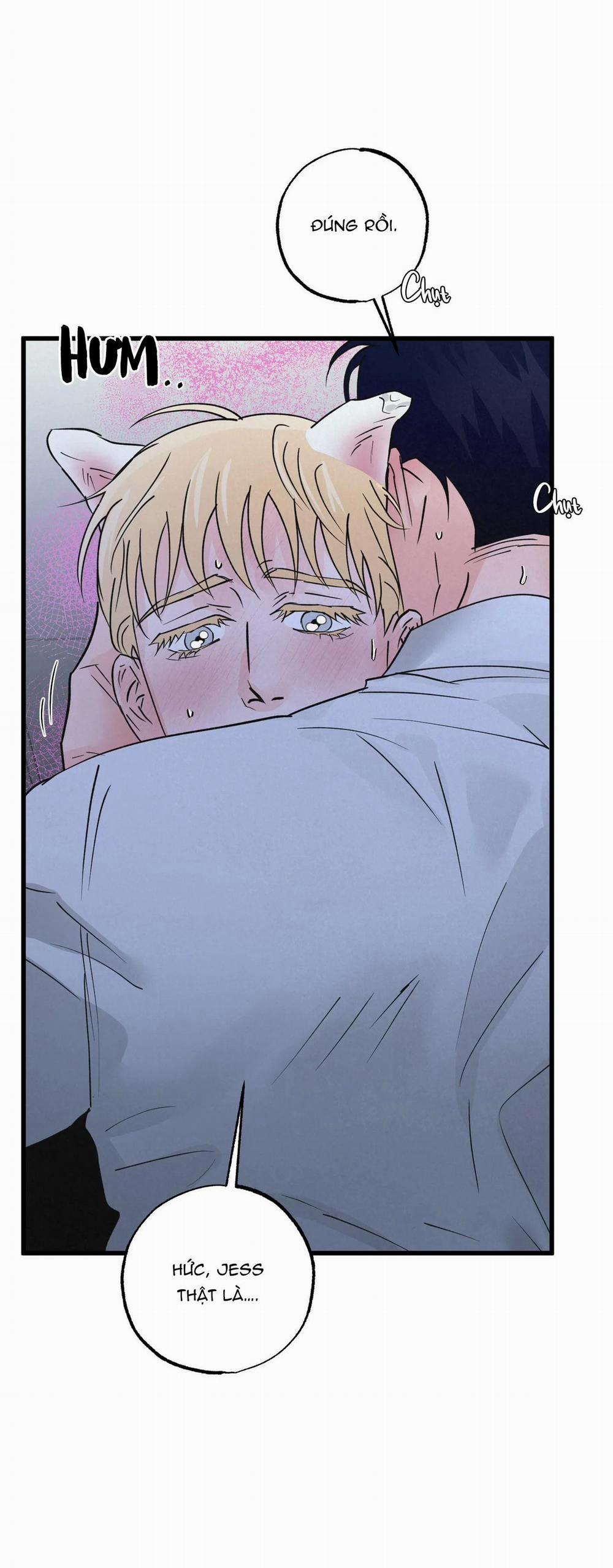 Cặp Đôi Hoàn Hảo 22 trang 10