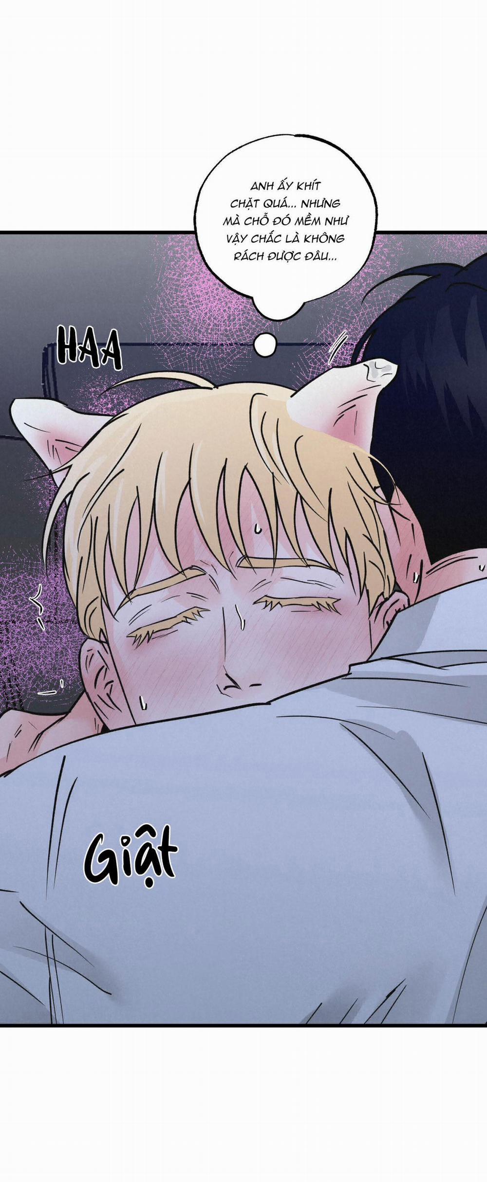 Cặp Đôi Hoàn Hảo 22 trang 13