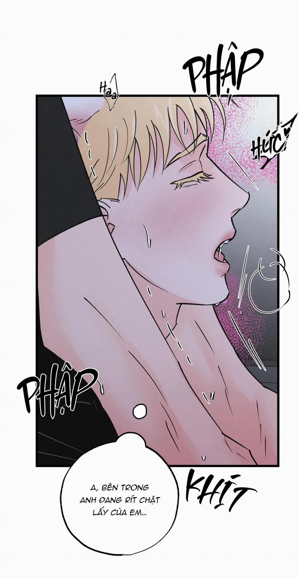 Cặp Đôi Hoàn Hảo 22 trang 33