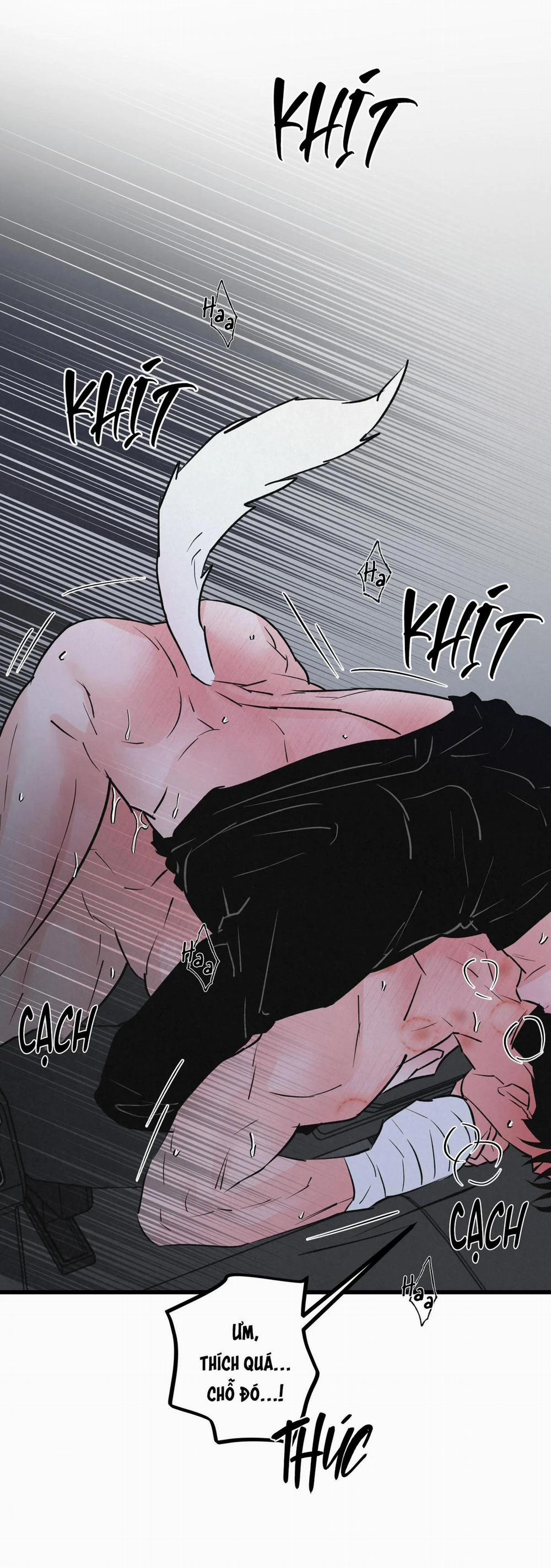 Cặp Đôi Hoàn Hảo 22 trang 45