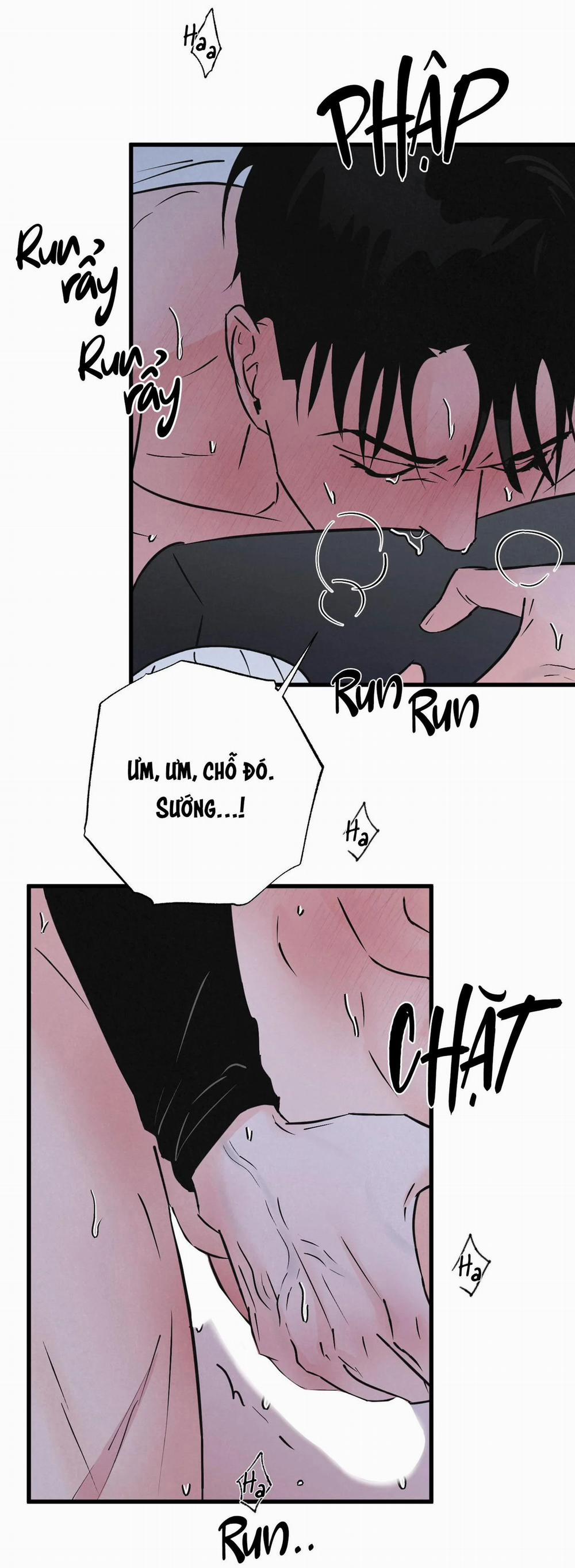 Cặp Đôi Hoàn Hảo 22 trang 47