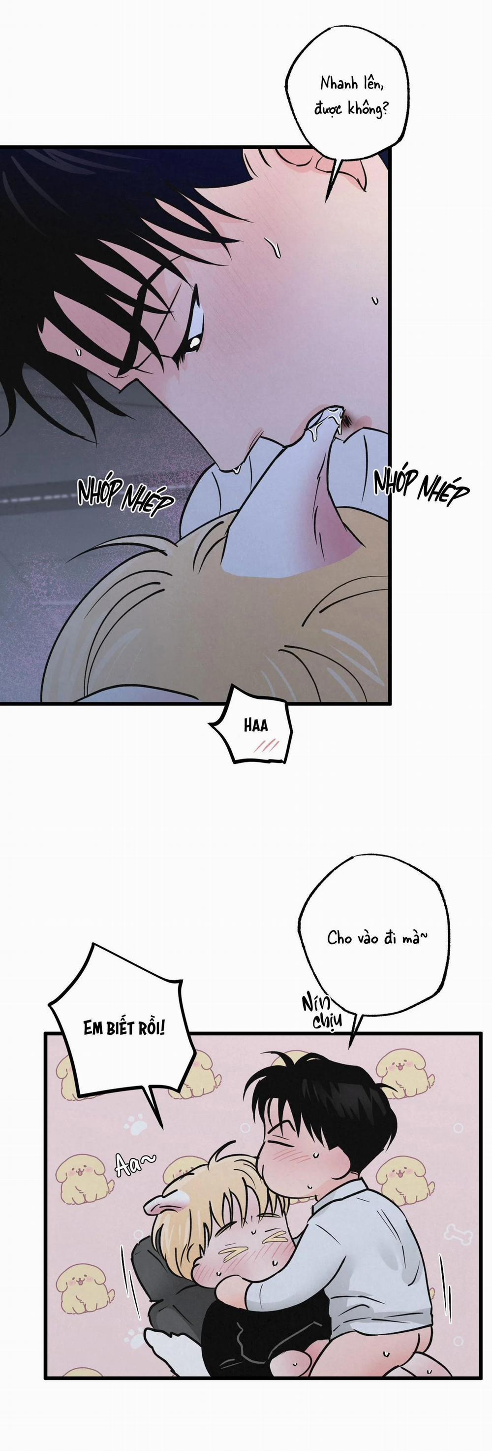 Cặp Đôi Hoàn Hảo 22 trang 9