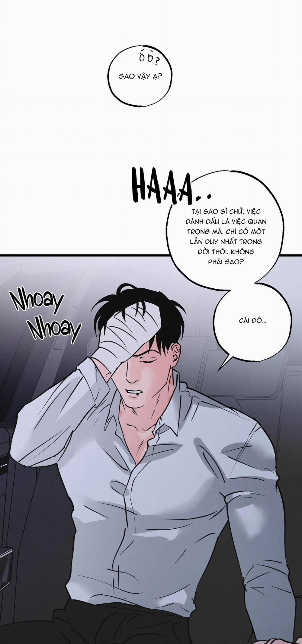 Cặp Đôi Hoàn Hảo 23 trang 14