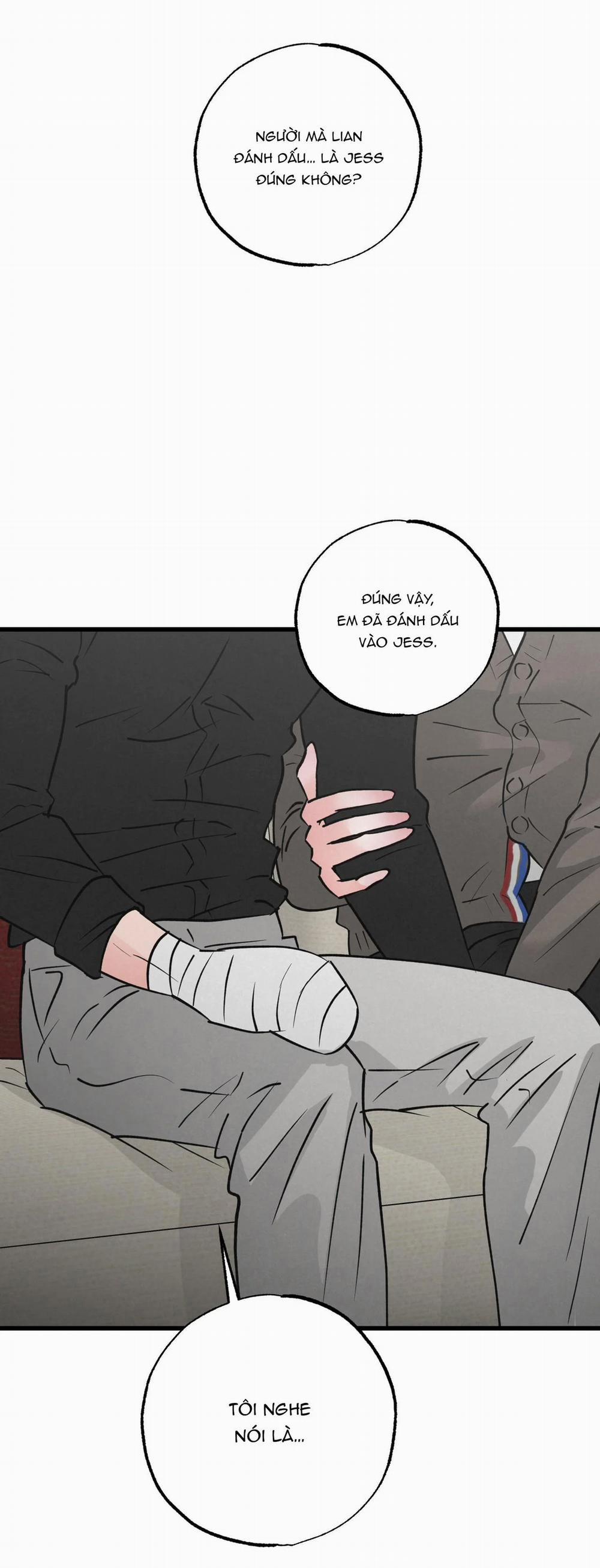 Cặp Đôi Hoàn Hảo 24 trang 2