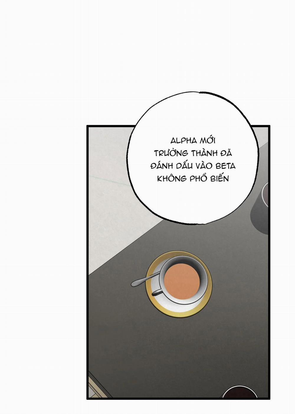 Cặp Đôi Hoàn Hảo 24 trang 3