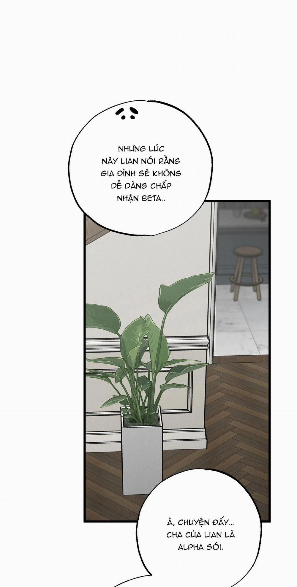 Cặp Đôi Hoàn Hảo 25 trang 12