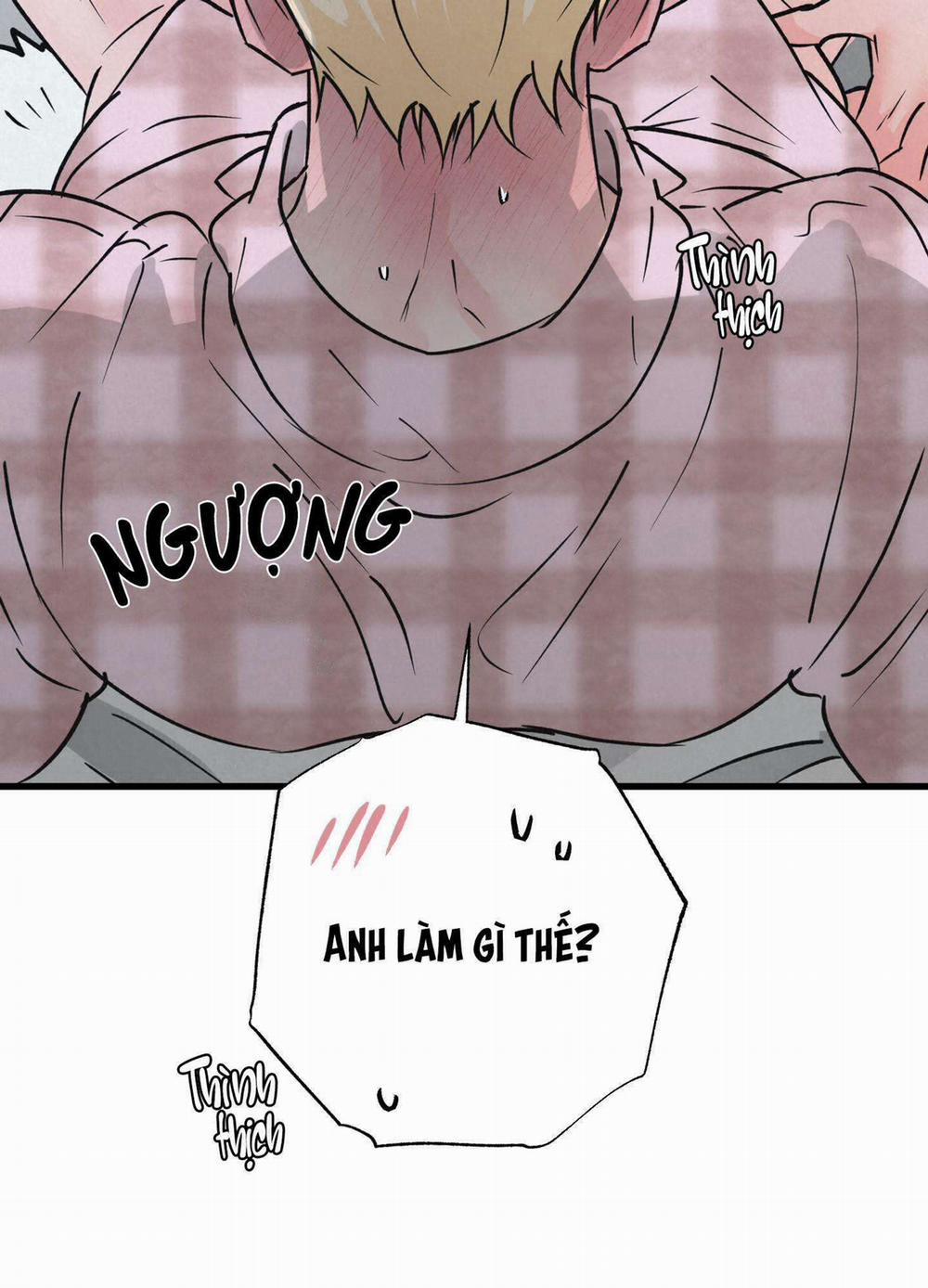 Cặp Đôi Hoàn Hảo 26 trang 15