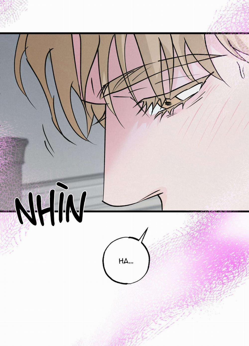 Cặp Đôi Hoàn Hảo 27 trang 14