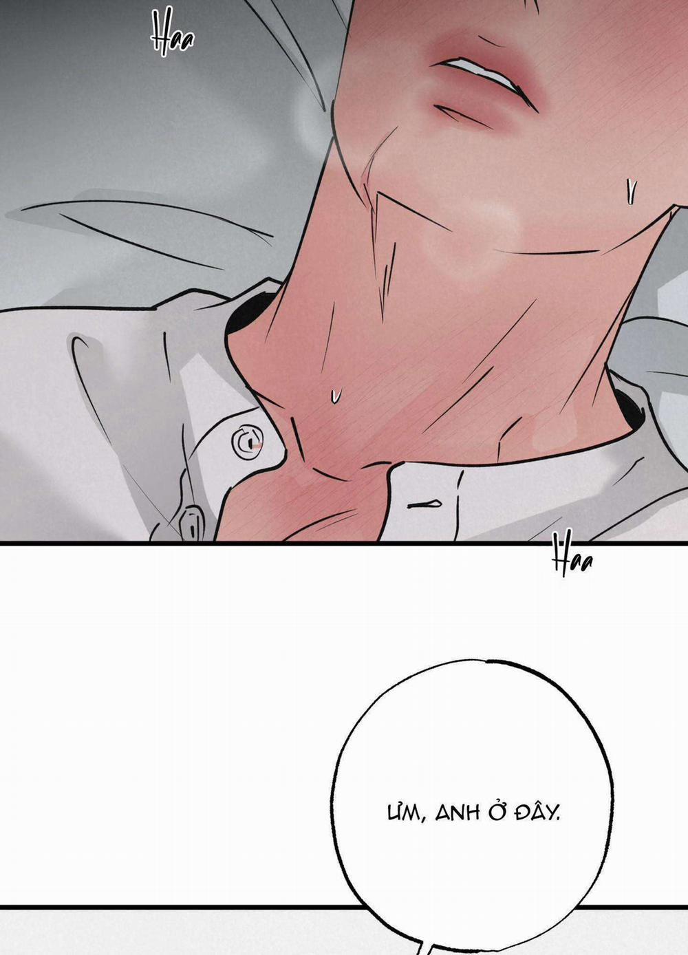 Cặp Đôi Hoàn Hảo 27 trang 9