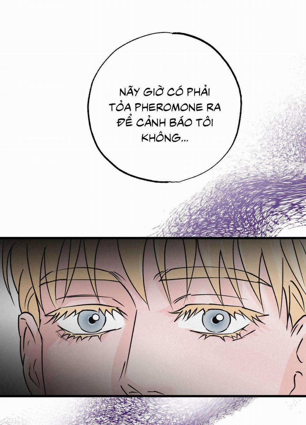 Cặp Đôi Hoàn Hảo 28 trang 41