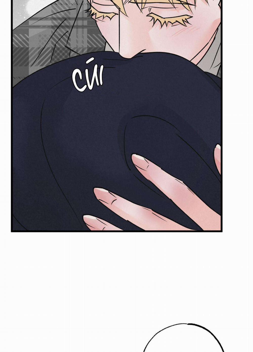 Cặp Đôi Hoàn Hảo 28 trang 8