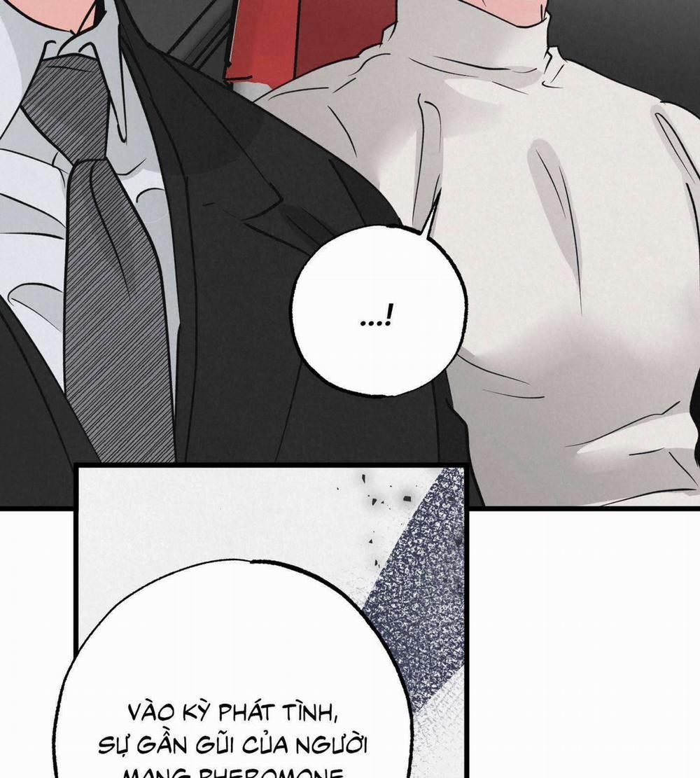 Cặp Đôi Hoàn Hảo 28 trang 82