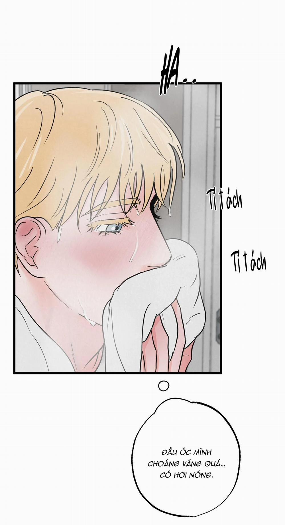 Cặp Đôi Hoàn Hảo 4 trang 5