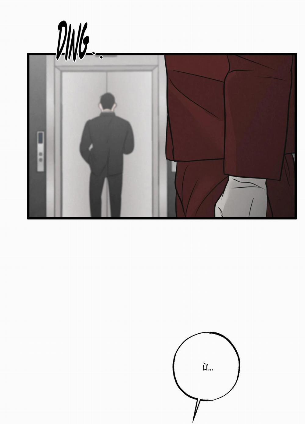 Cặp Đôi Hoàn Hảo 5 trang 10