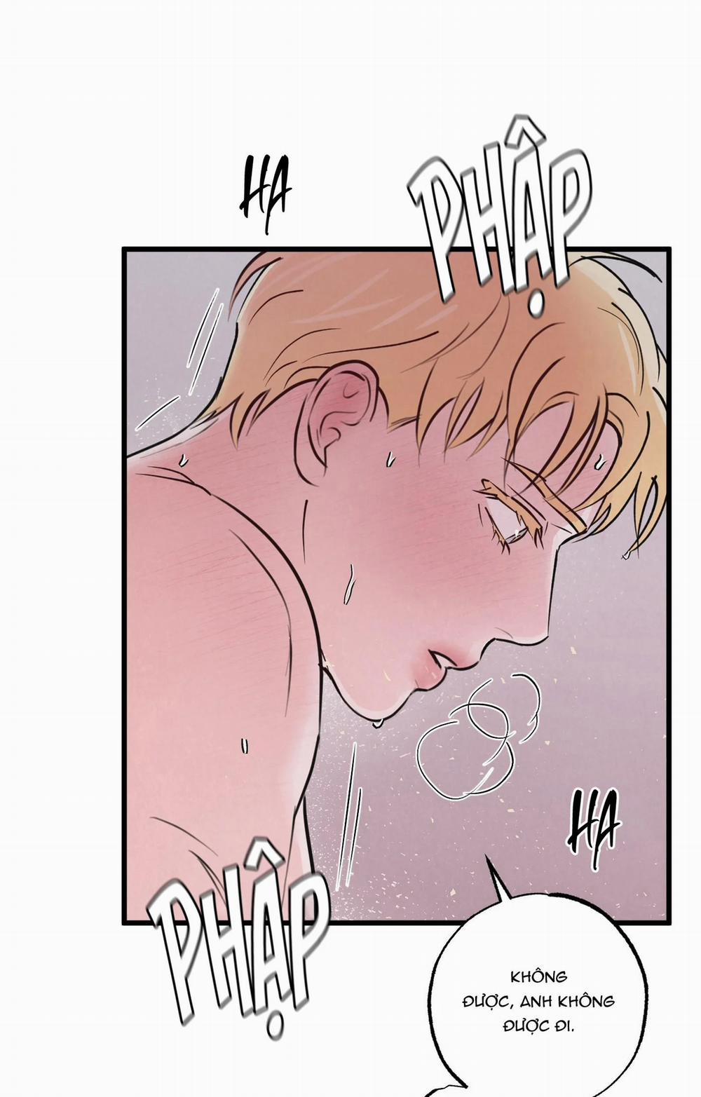 Cặp Đôi Hoàn Hảo 6 trang 48