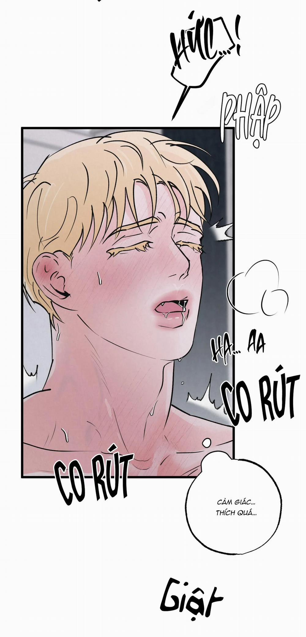 Cặp Đôi Hoàn Hảo 6 trang 7