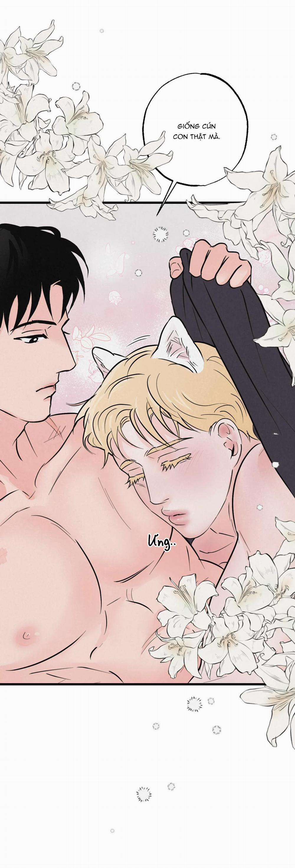 Cặp Đôi Hoàn Hảo 7 trang 11