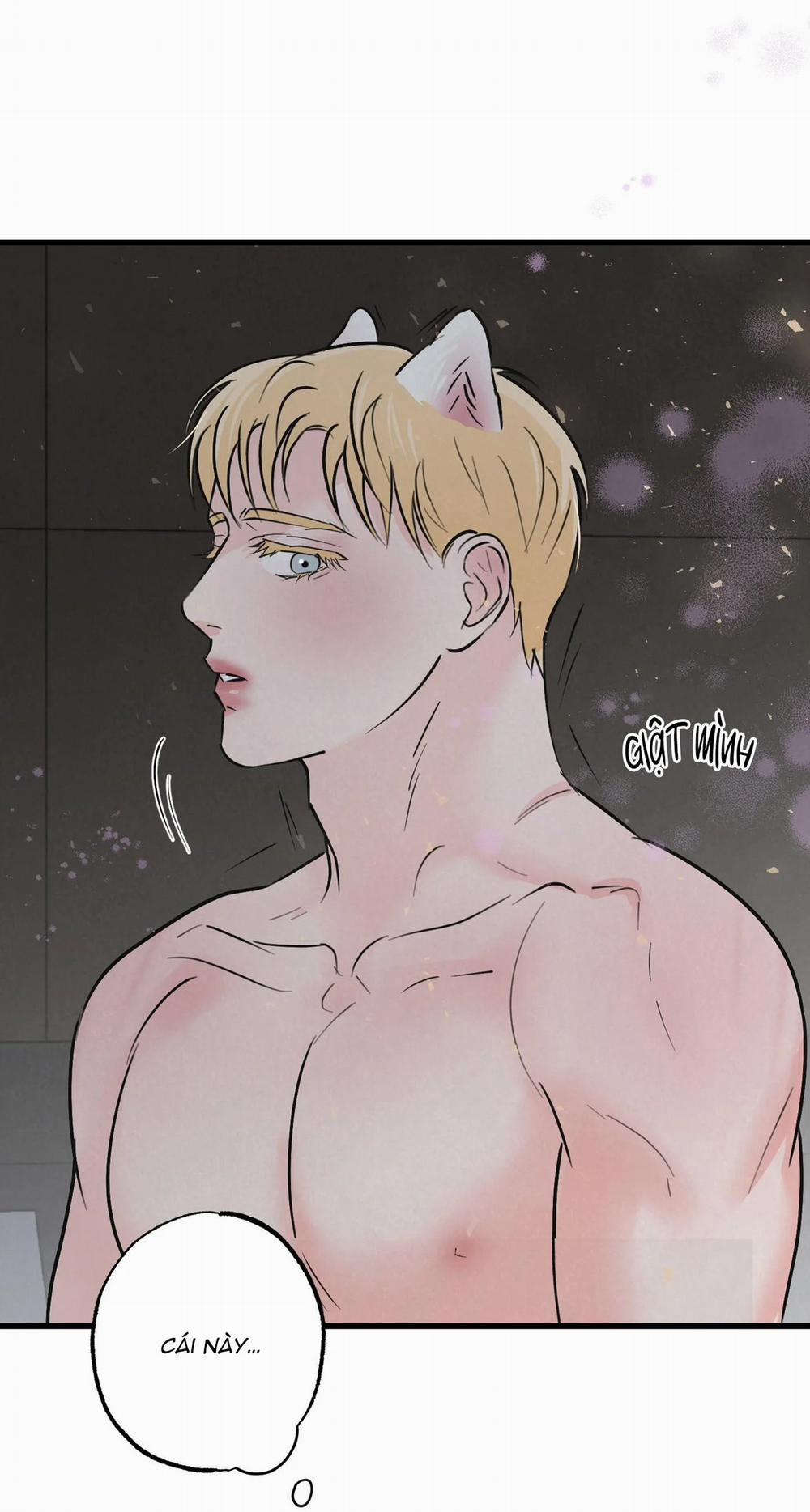 Cặp Đôi Hoàn Hảo 8 trang 21