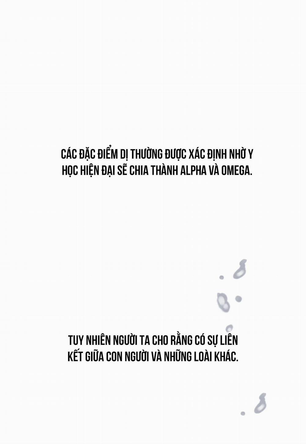 Cặp Đôi Hoàn Hảo 8 trang 41