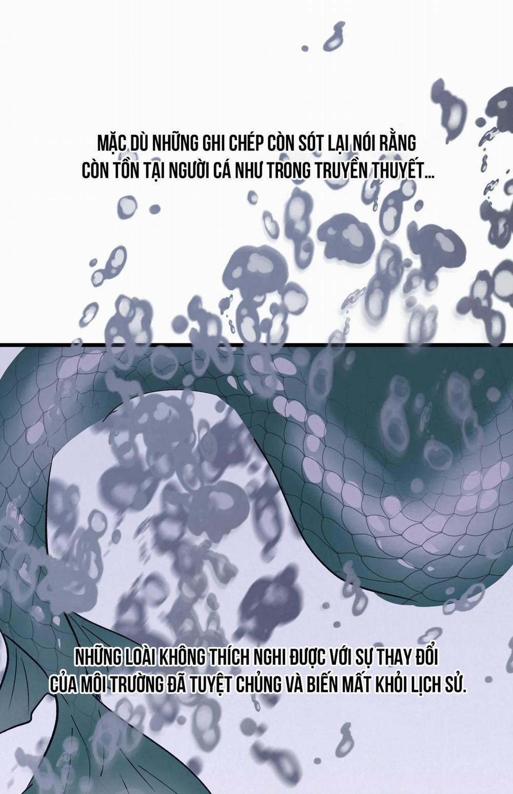 Cặp Đôi Hoàn Hảo 8 trang 42