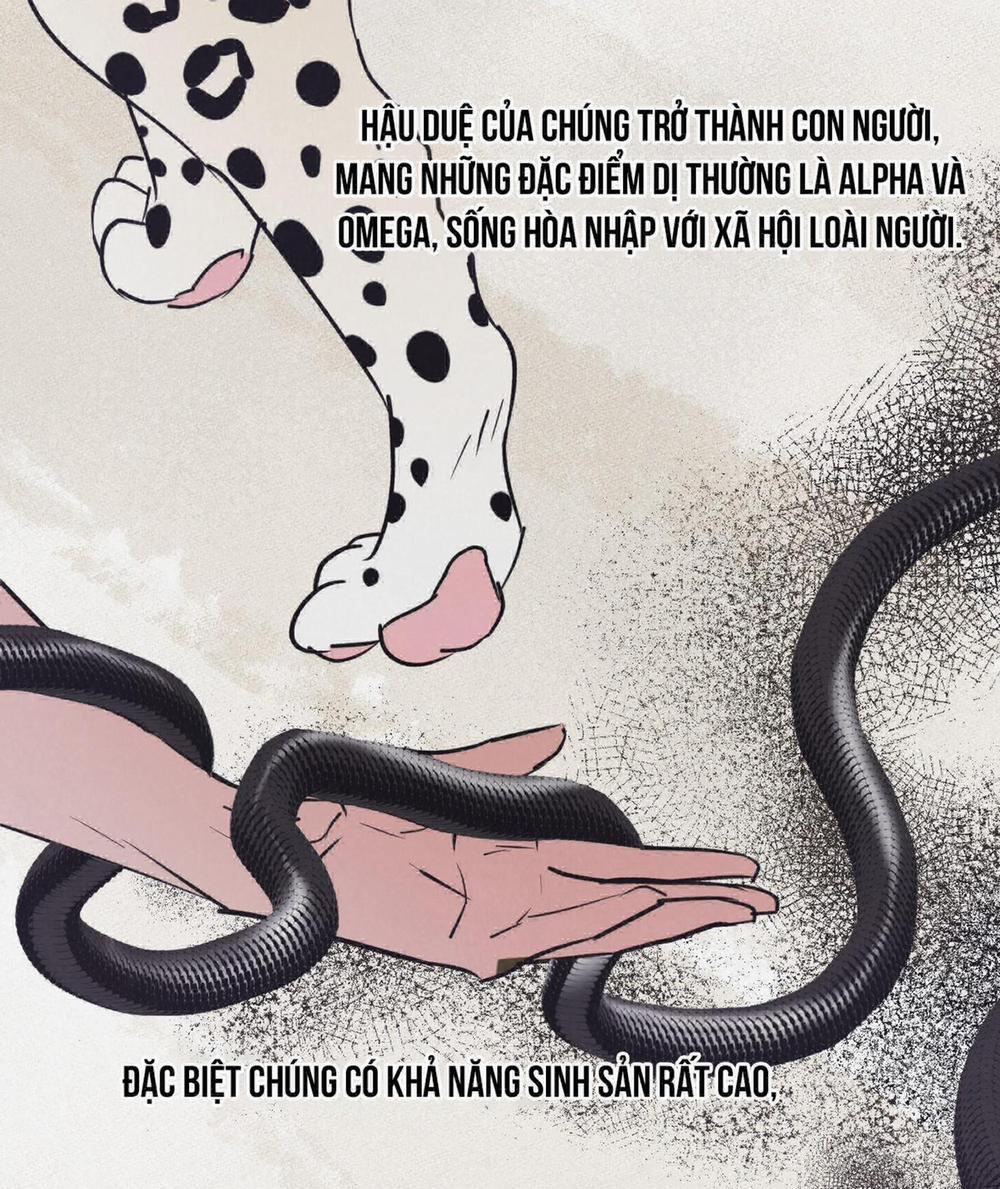 Cặp Đôi Hoàn Hảo 8 trang 44