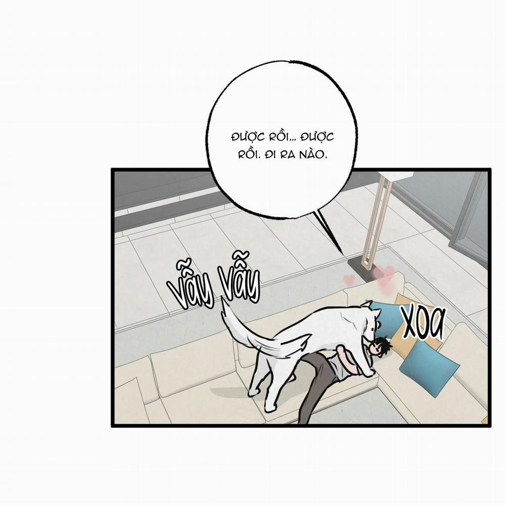 Cặp Đôi Hoàn Hảo 8 trang 49