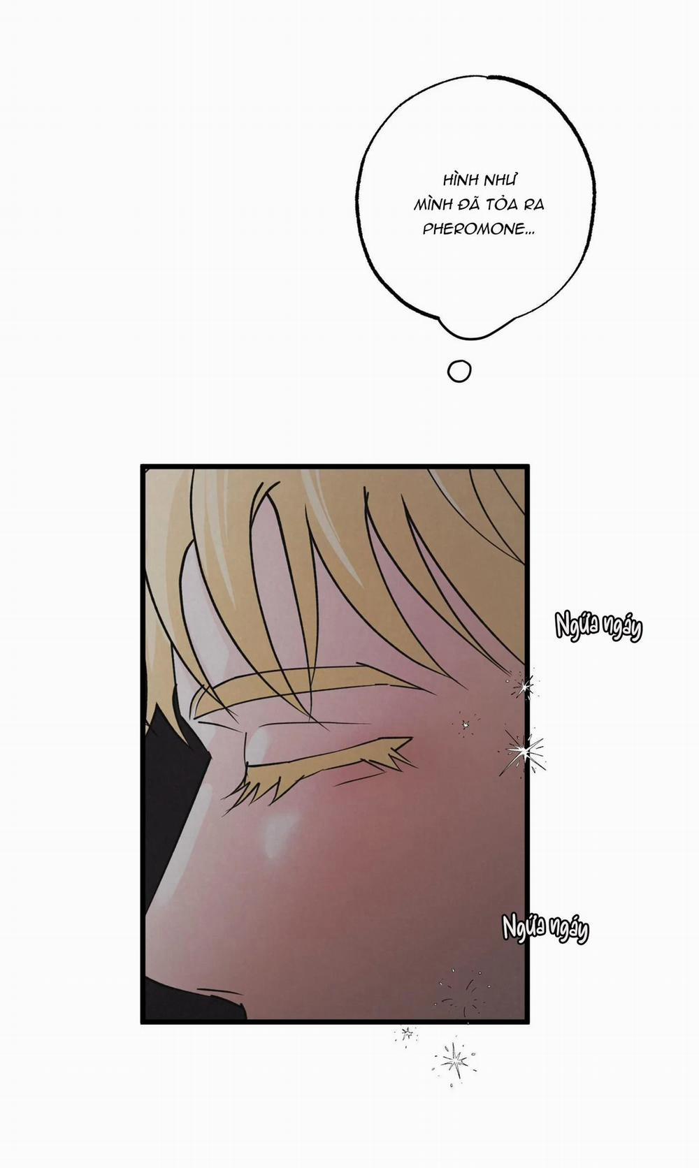 Cặp Đôi Hoàn Hảo 8 trang 5