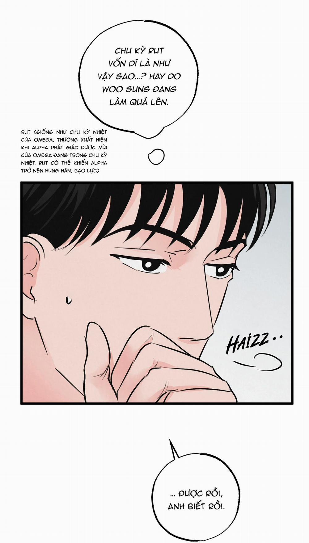 Cặp Đôi Hoàn Hảo 9 trang 24