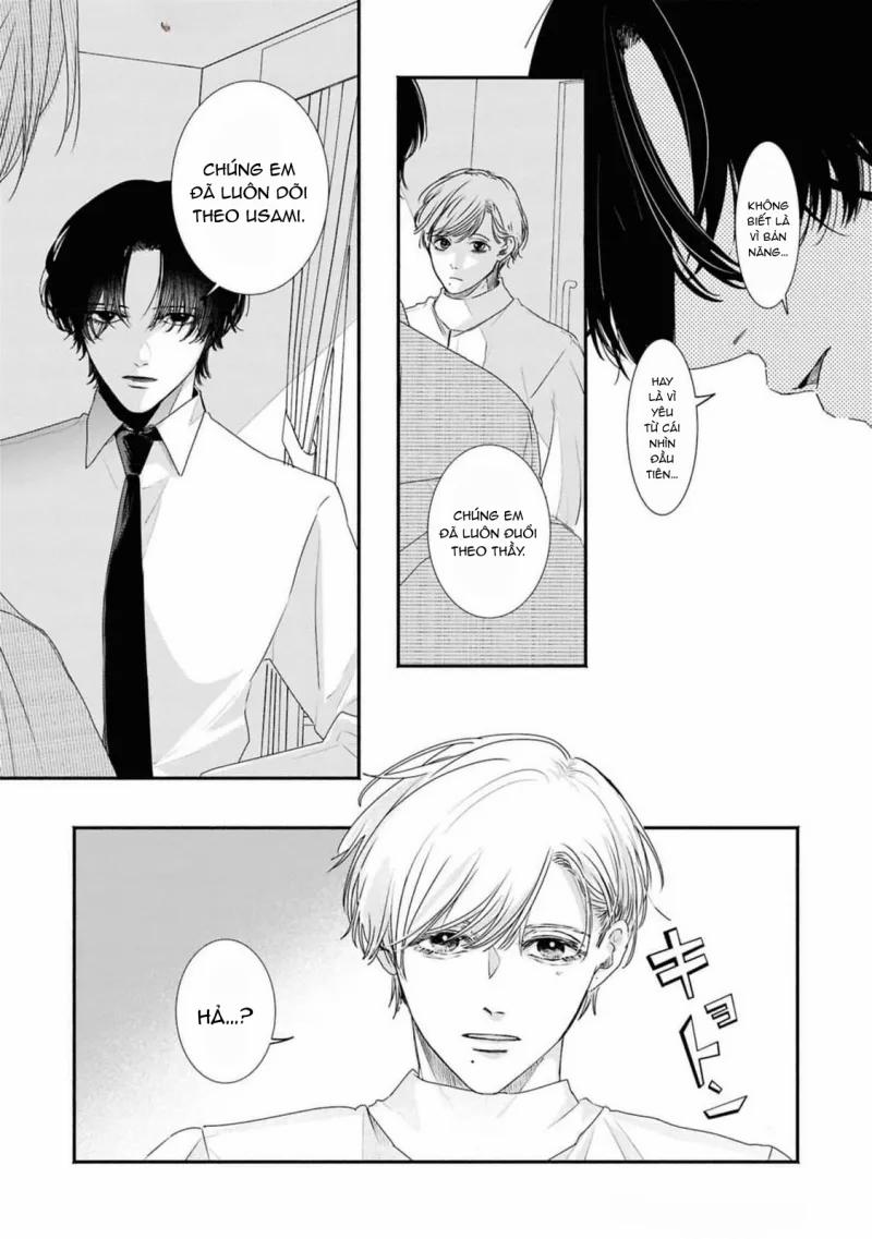 Cặp Song Sinh Và Thầy Giáo 9 trang 15