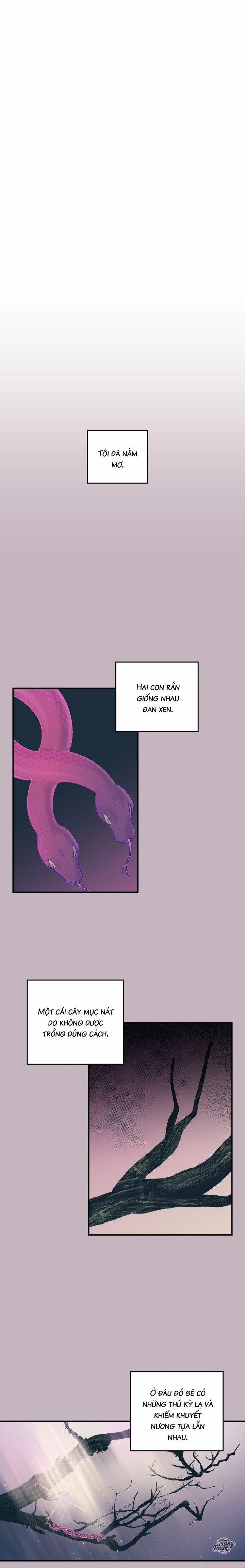 Cặp Song Sinh Và Tôi 6 trang 14