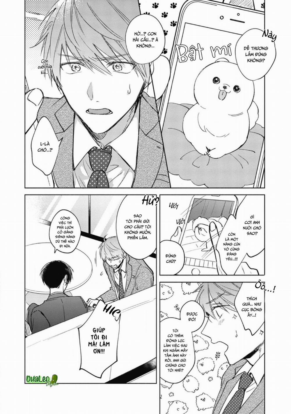 Cấp Trên Ác Quỷ Gokudera Của Tôi Muốn Bị Phơi Bày 1 trang 12