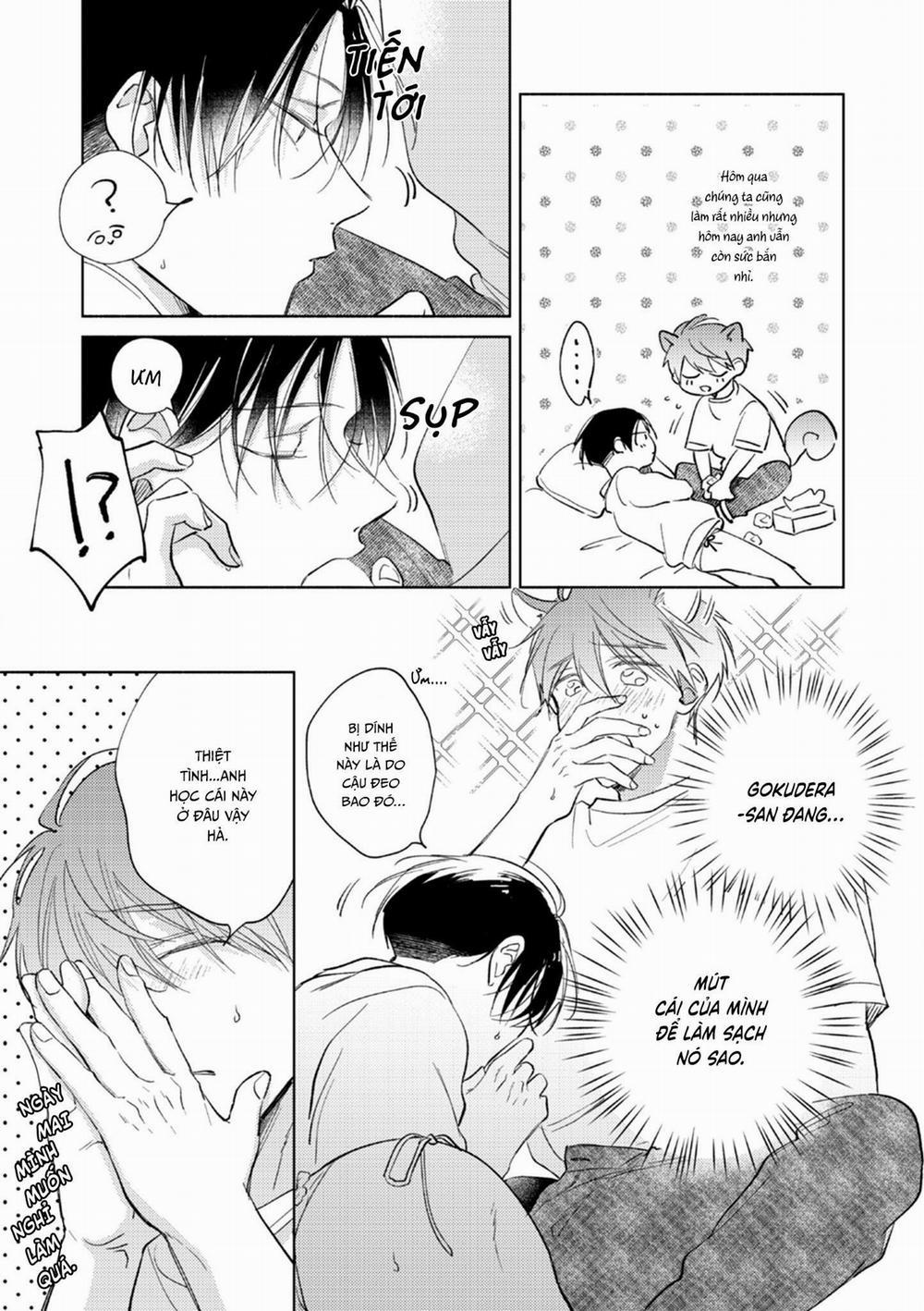 Cấp Trên Ác Quỷ Gokudera Của Tôi Muốn Bị Phơi Bày 11 trang 12