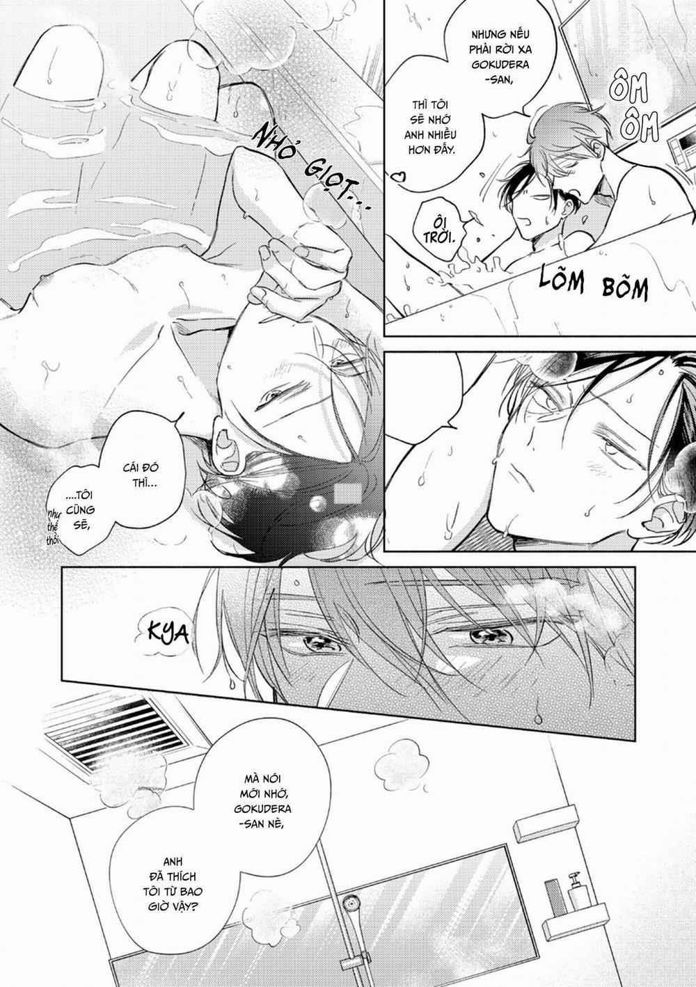 Cấp Trên Ác Quỷ Gokudera Của Tôi Muốn Bị Phơi Bày 11 trang 15