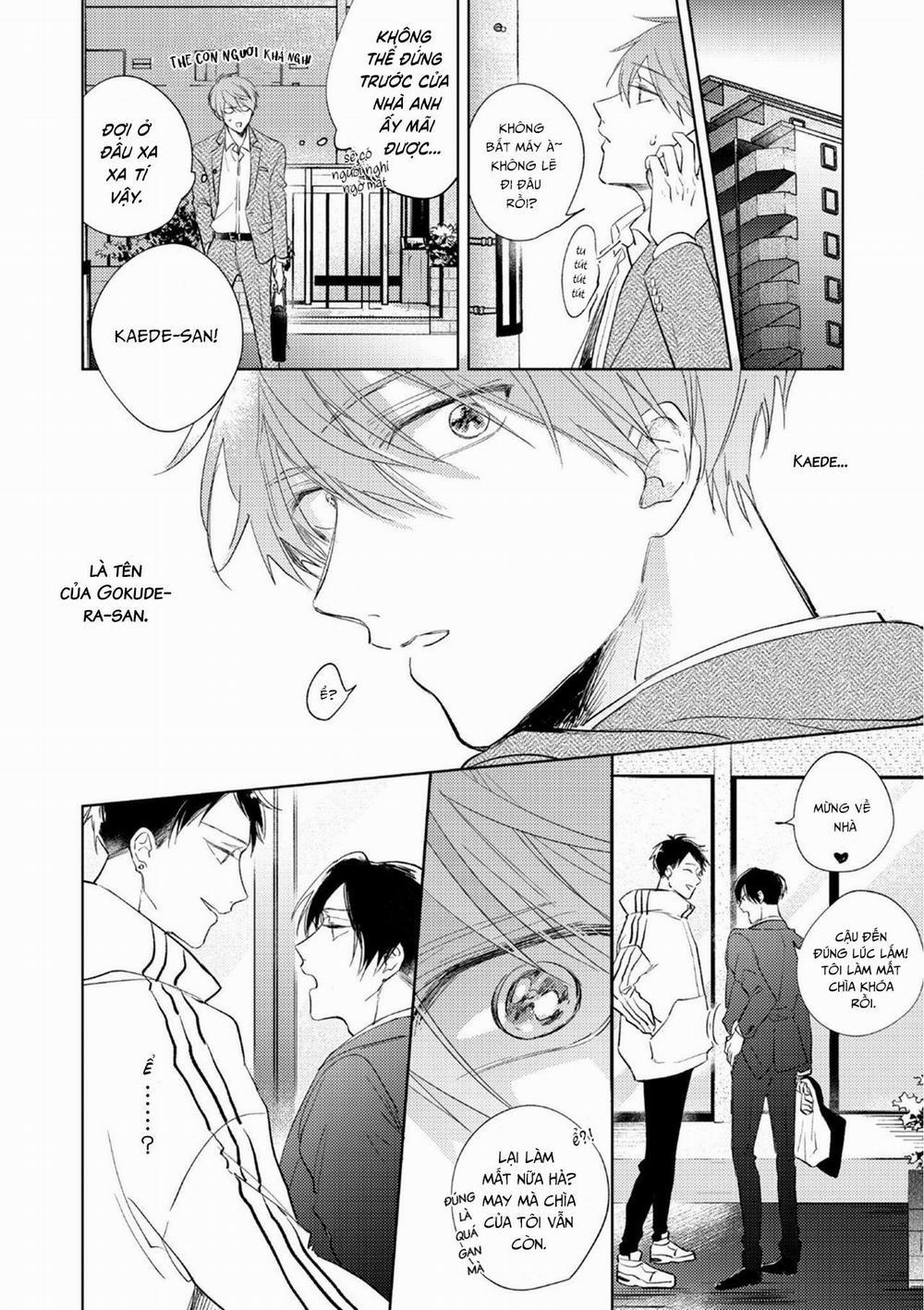 Cấp Trên Ác Quỷ Gokudera Của Tôi Muốn Bị Phơi Bày 3 trang 17