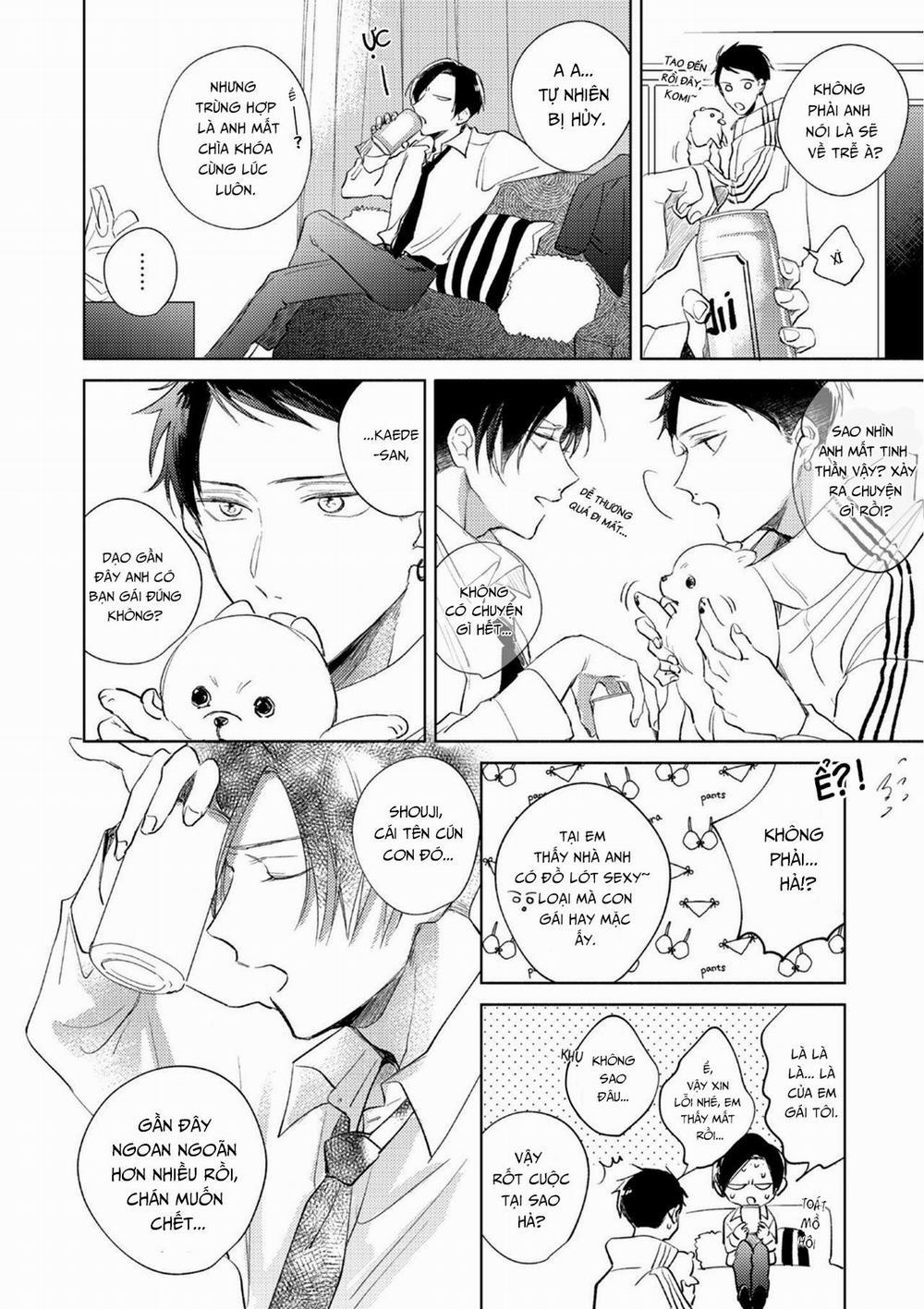 Cấp Trên Ác Quỷ Gokudera Của Tôi Muốn Bị Phơi Bày 3 trang 19