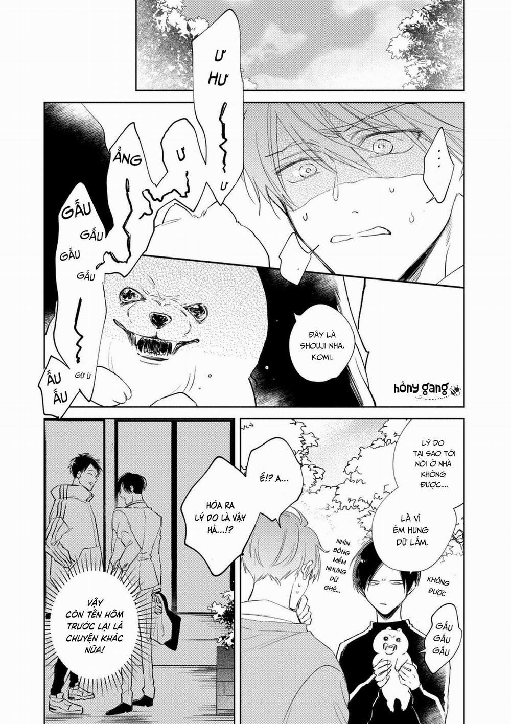 Cấp Trên Ác Quỷ Gokudera Của Tôi Muốn Bị Phơi Bày 3 trang 21